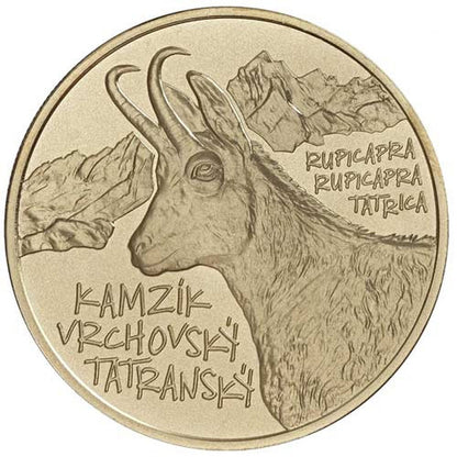 5 EURO Slovensko 2022 - Kamzík vrchovský tatranský