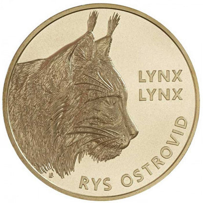 5 EURO Slovensko 2022 - Rys ostrovid