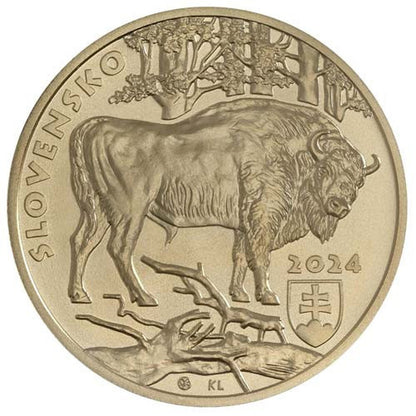 5 EURO Slovensko 2024 - Zubor hrivnatý